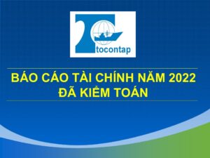 Báo Cáo Tài Chính Hợp Nhất Đã Được Kiểm Toán Năm 2022