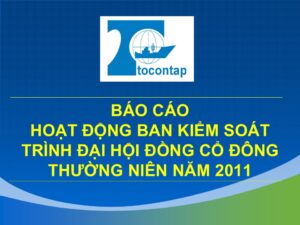 Báo Cáo Hoạt Động Ban Kiểm Soát Trình Đại Hội Đồng Cổ Đông Thường Niên Năm 2011